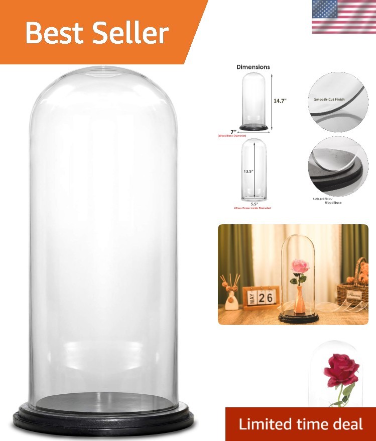 Glass Cloche H:13.75" D:5.5” with Black Wood Base Decorative Showcase Display...