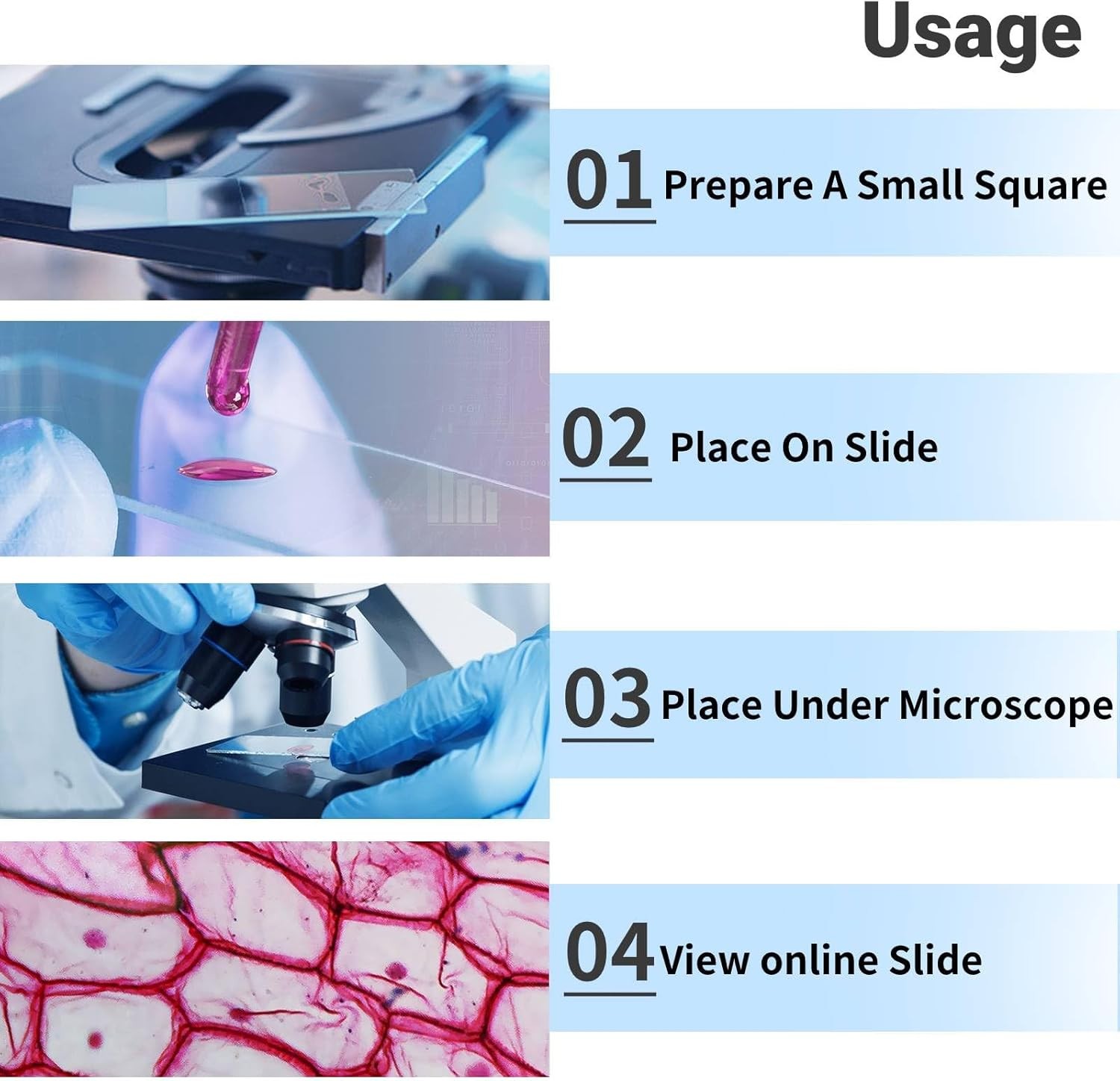 Lab Compound Monocular Microscopes with Constant Temperature,Dual-View Micros...