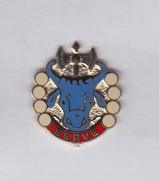 213th S&S Supply & Services Bn Quartermaster QM Support crest DUI badge G-23