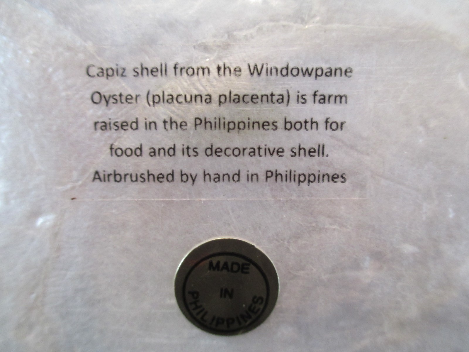 1232 * PARROT~ CAPIZ SHELL TRINKET BOX