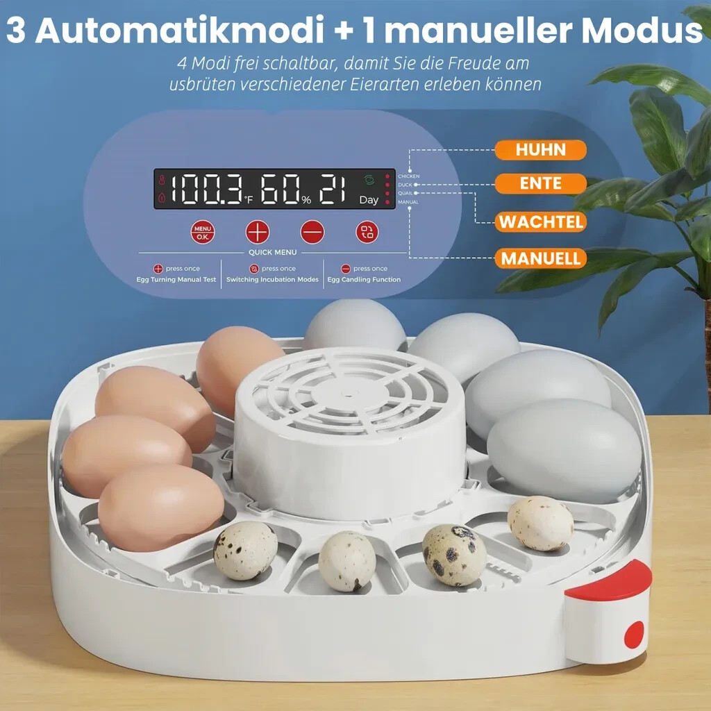 12 Eggs Incubator Automatic Turning Chicken Digital Incubators for Hatching Eggs