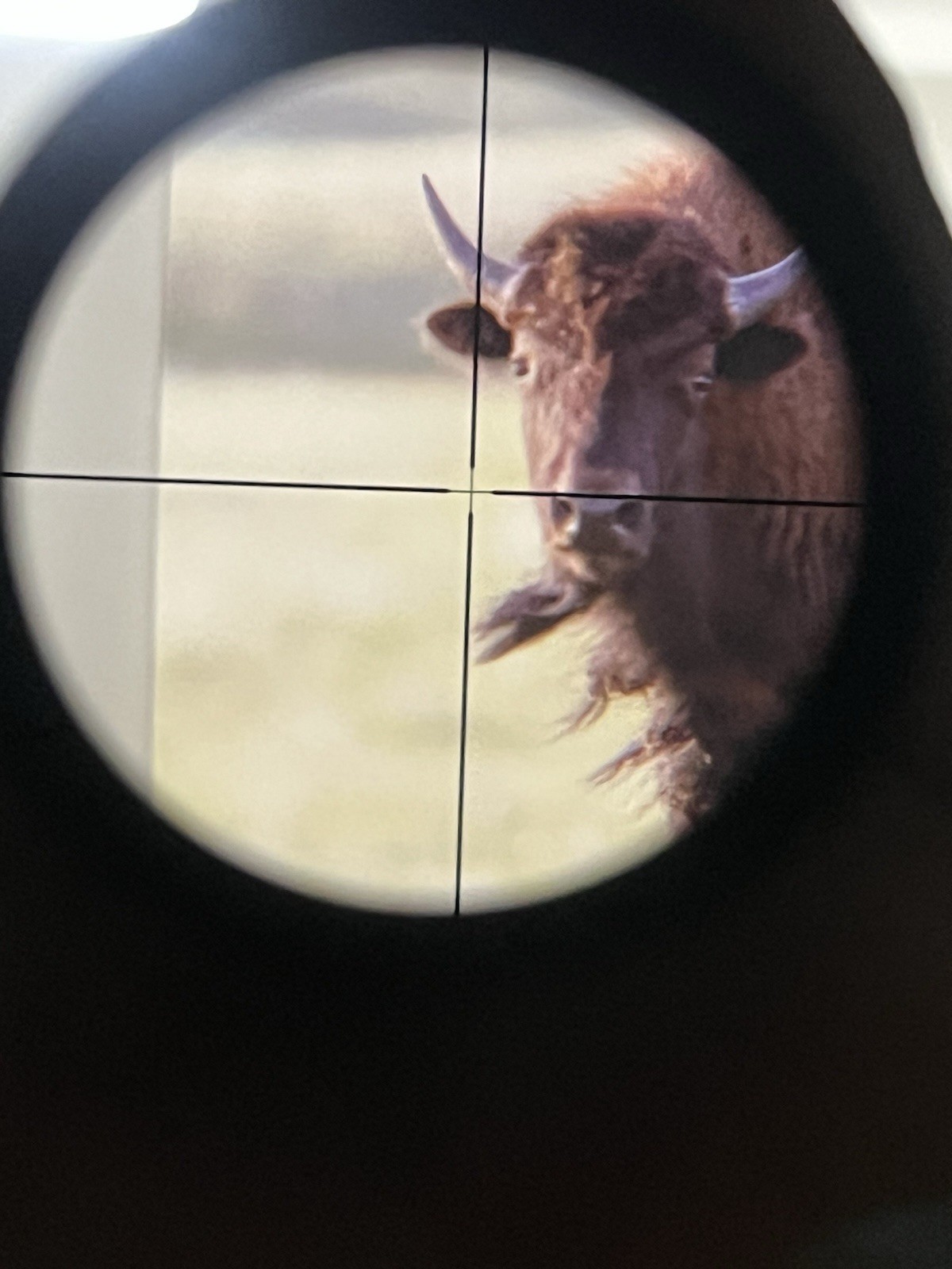 Leupold VX-II 3-9x40mm Duplex Rifle Scope Matte Black