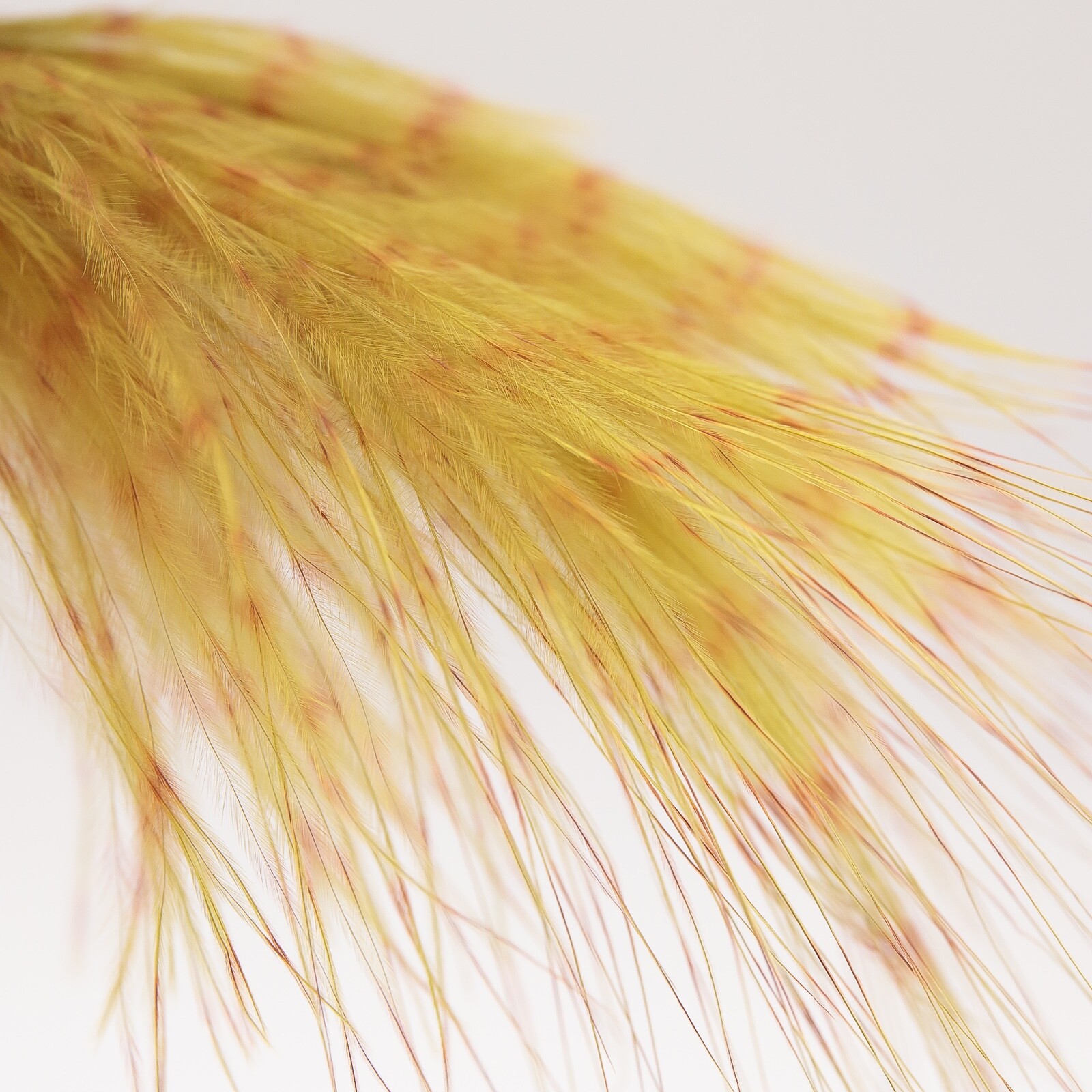 Montana Fly Company Fine Barred Marabou 3-5" - Olive/Brown