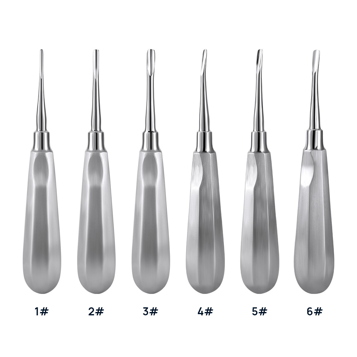 Dental Elevators Stainless Steel Straight Curved Surgical Extraction Kit 6 Sizes