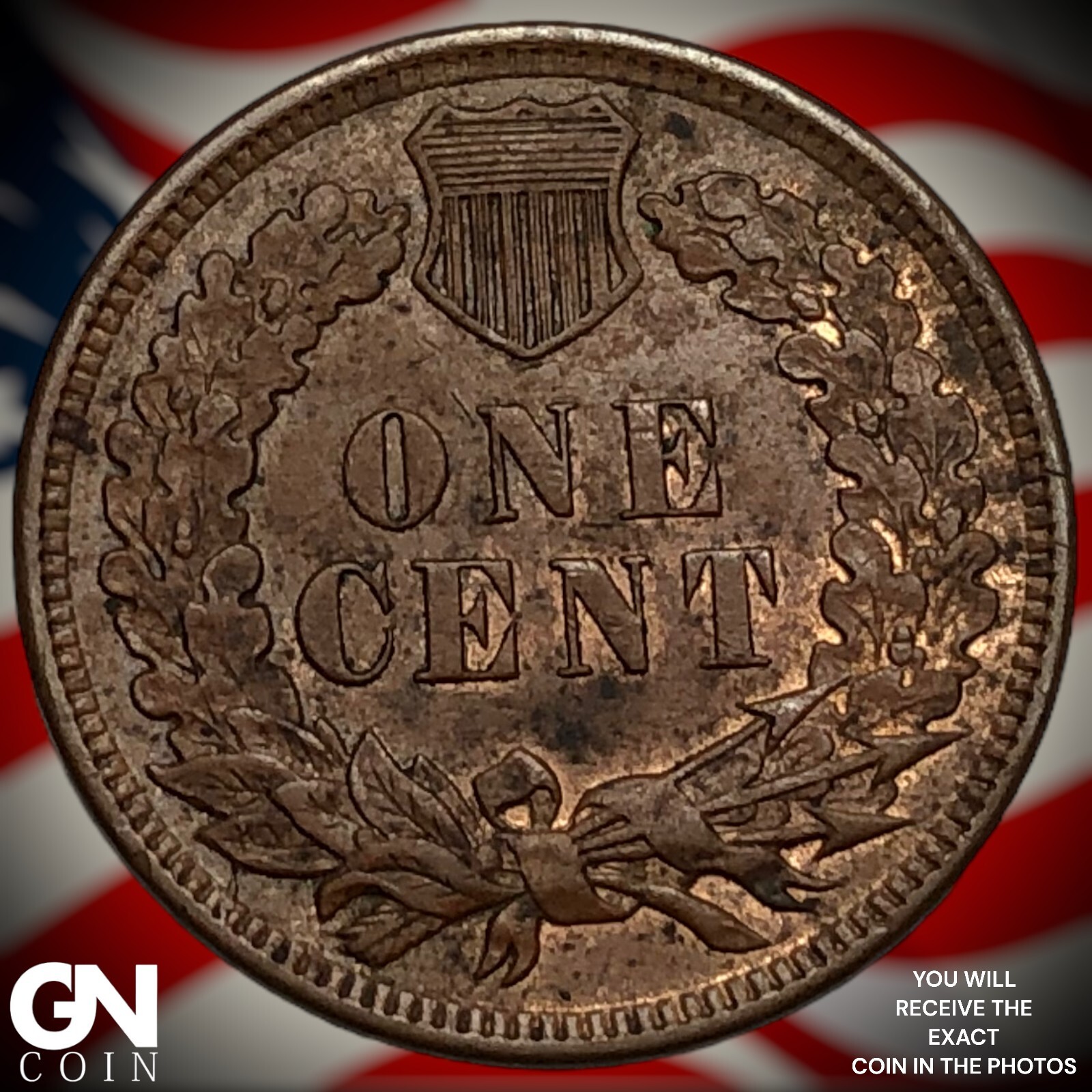 1906 Indian Head Cent Penny M1683