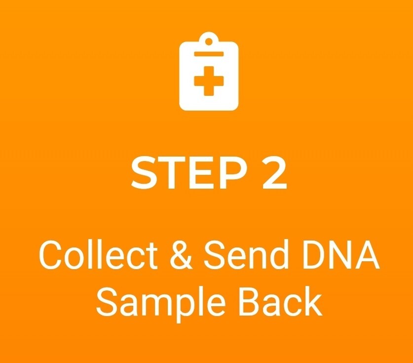 DNA Paternity Test