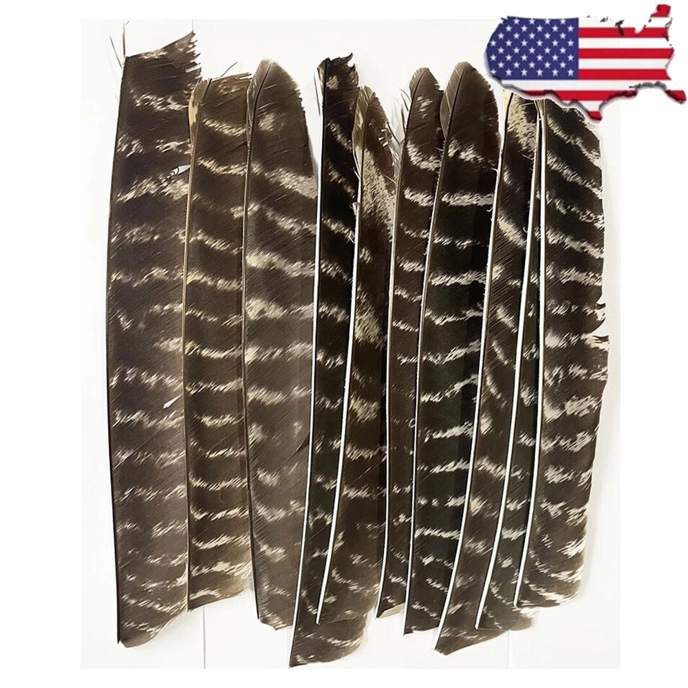 50X Archery Real Feather LH/RH Wing Natural Fletches Arrow DIY Hunting Shooting
