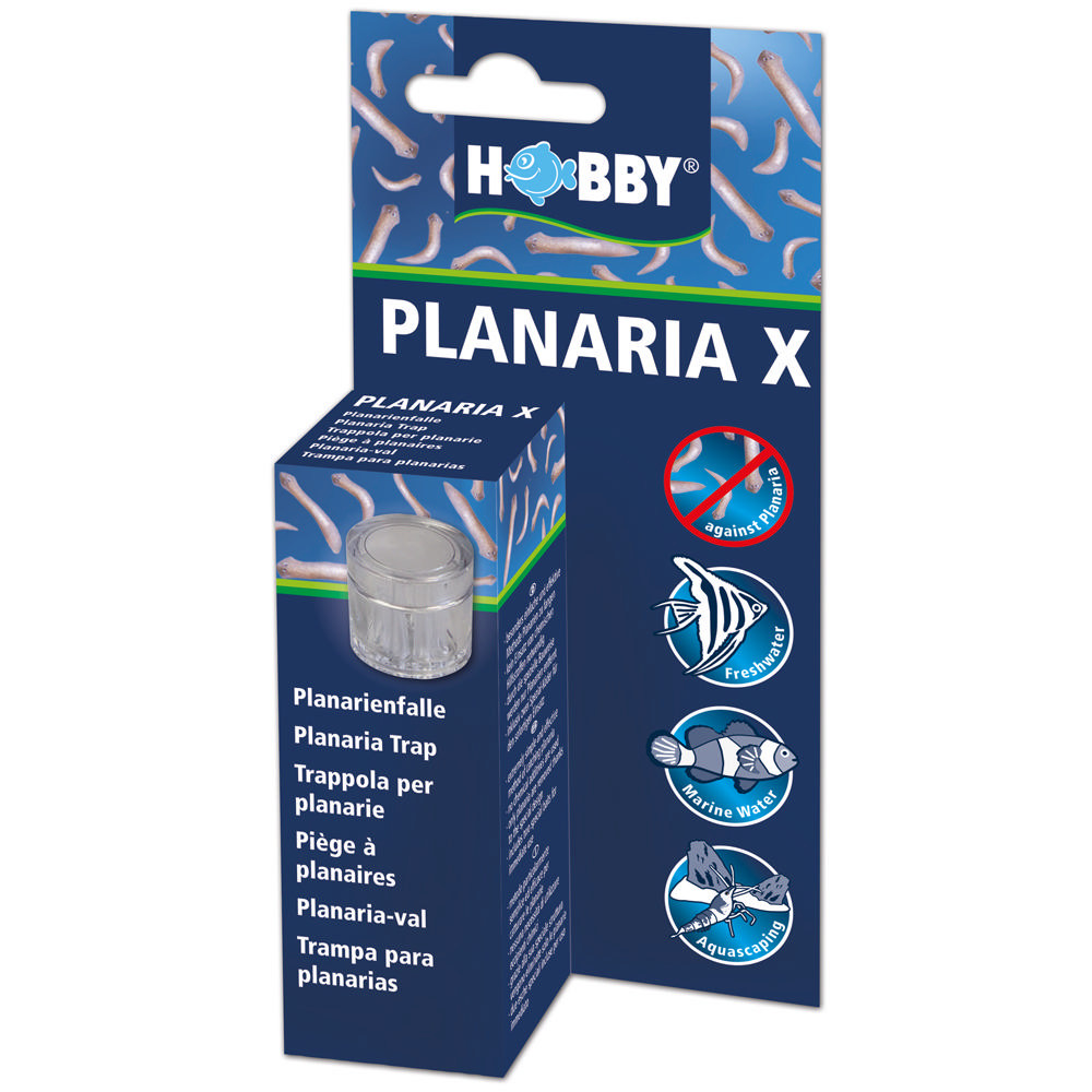 Hobby Planaria X Trap without Chemicals Flatworms, Disc Worms, Turbellarians