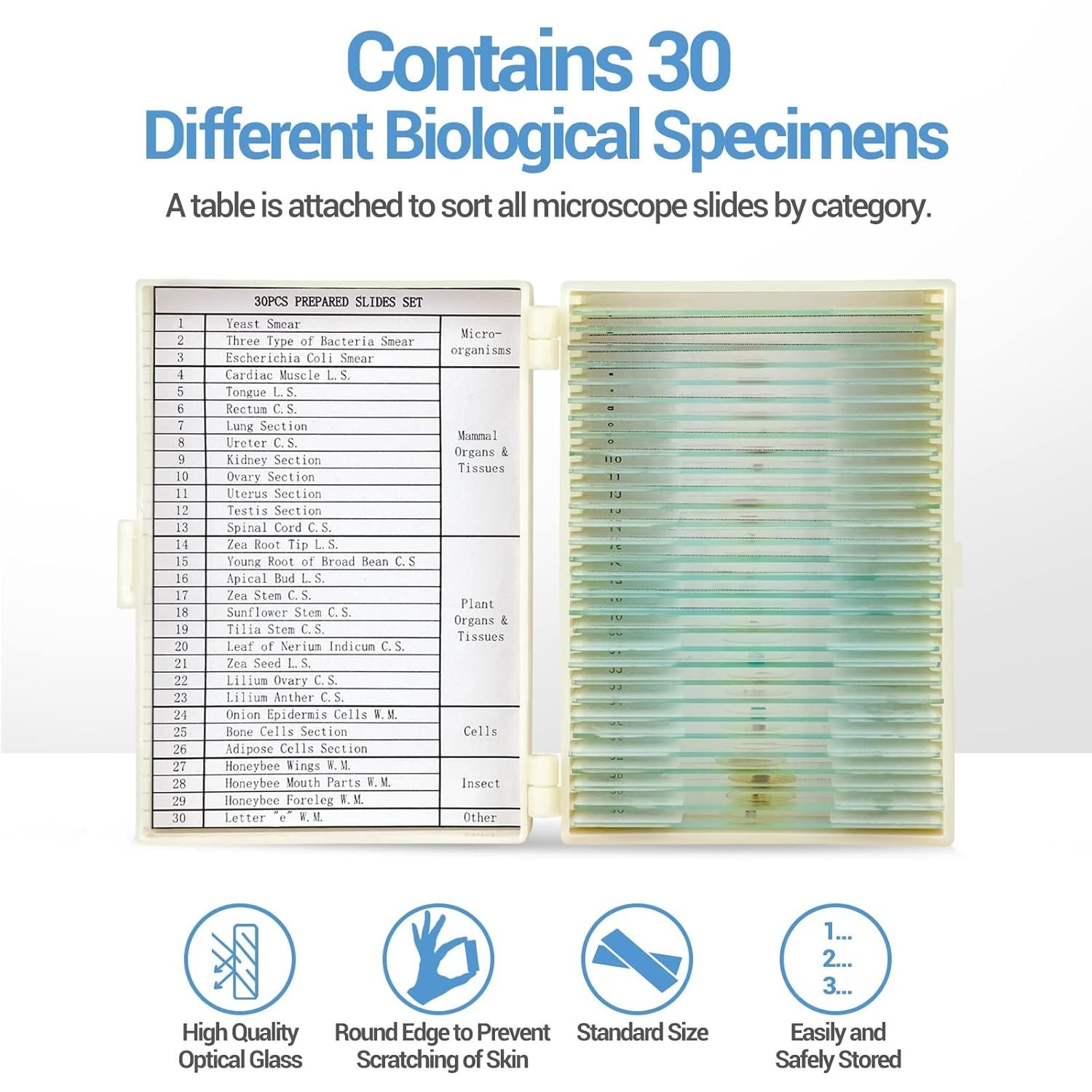 Educational Microscope Slides Kit with 30 Prepared Specimens for Beginners
