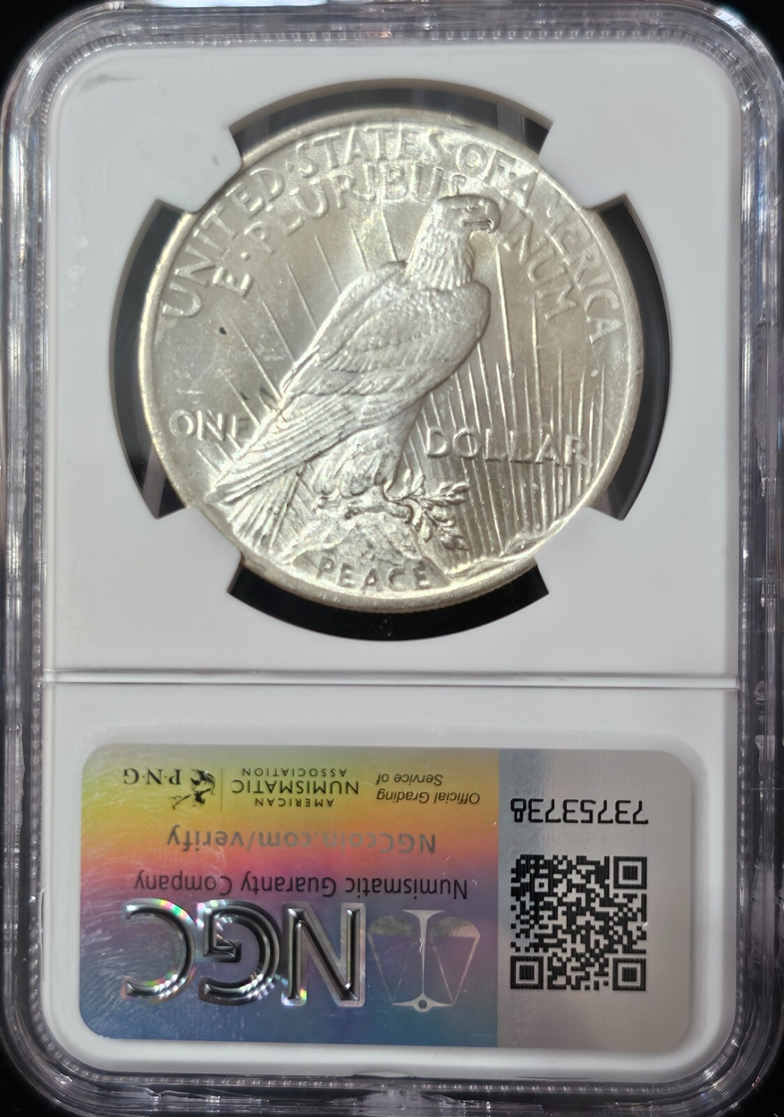 1924 Peace Dollar MS-66 NGC VIDEO