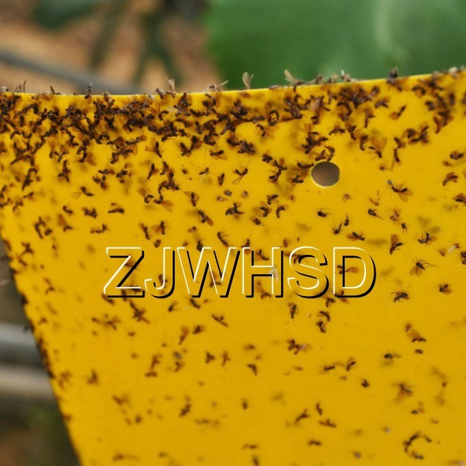 20pcs Yellow Sticky Insect Aphid Whitefly Thrip Gnat Fruitfly Leafminer Trap
