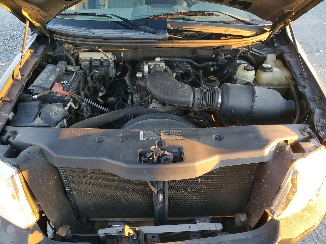F150 2006 Glove Box 4991472