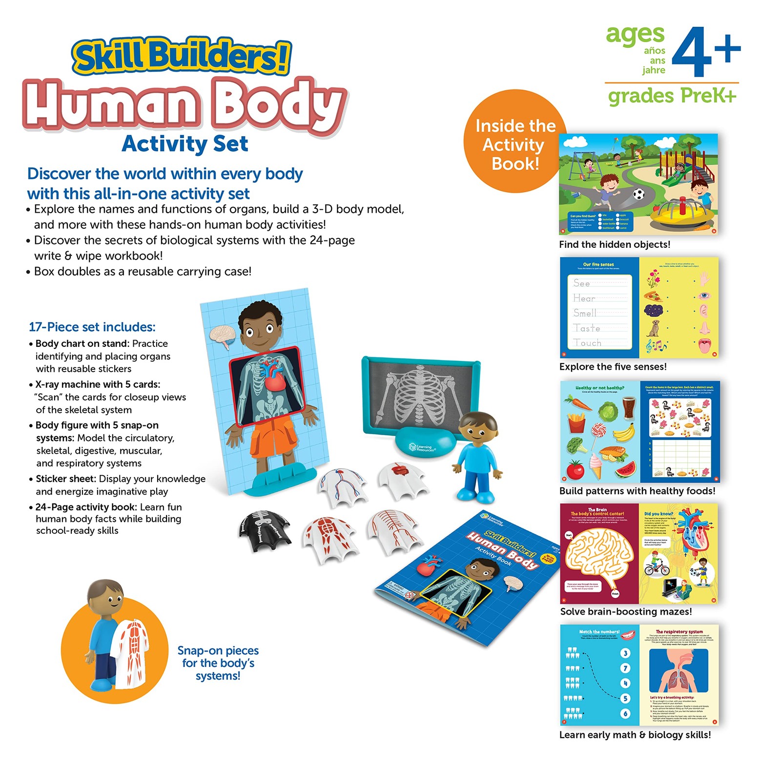 Learning Resources Skill Builders! Human Body Activity Set - Anatomy One Size
