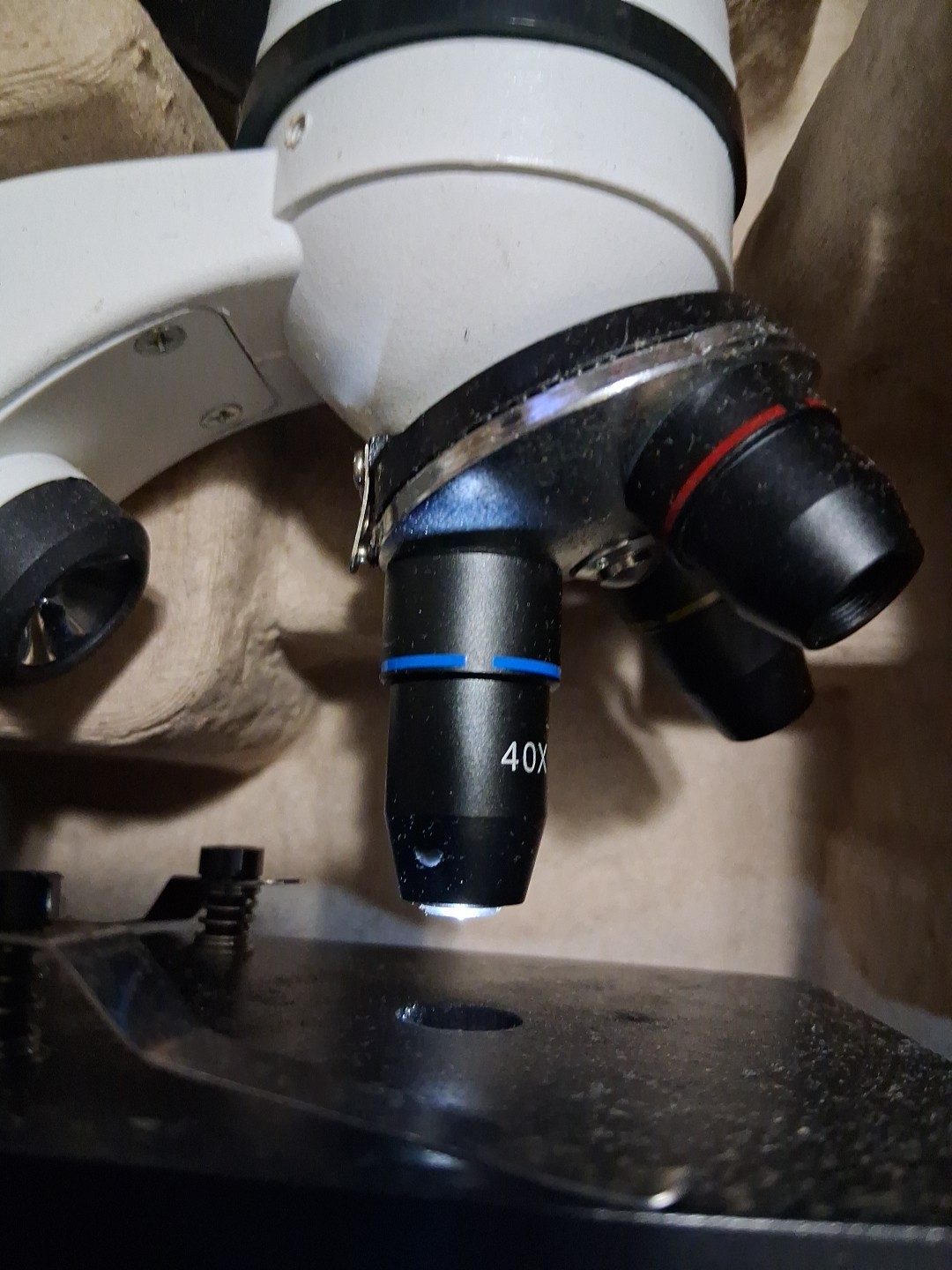 My First Lab Duo-Scope Microscope - MFL-06