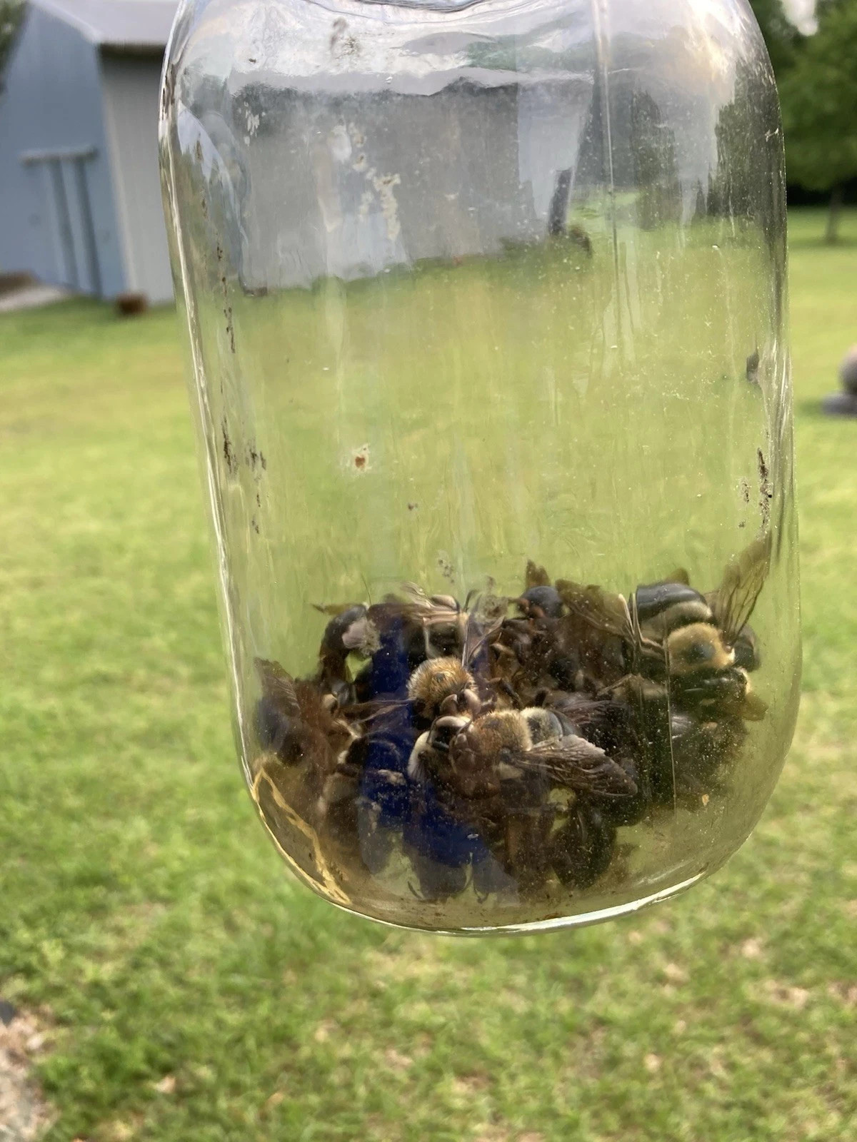Individually Handmade Cube Style, Carpenter Bee Traps That Really Work