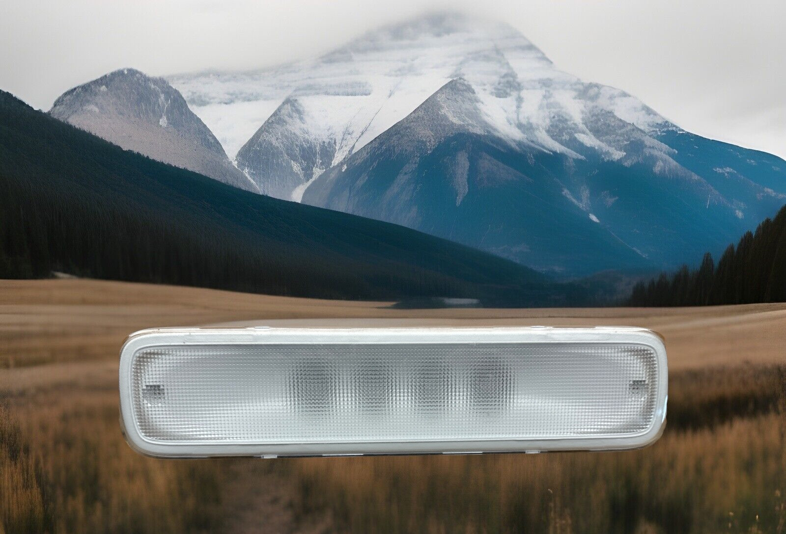 ✅ 18-23 FREIGHTLINER CASCADIA INTERIOR DOME LIGHT OEM A22-73831-000✅