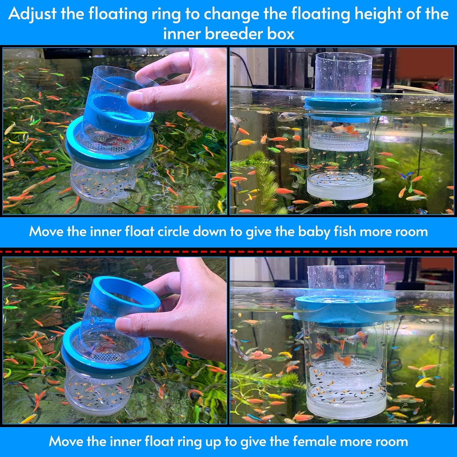 middlefloatingbreederbox Breeder Box for Fish Tank Isolation Aquarium Separator