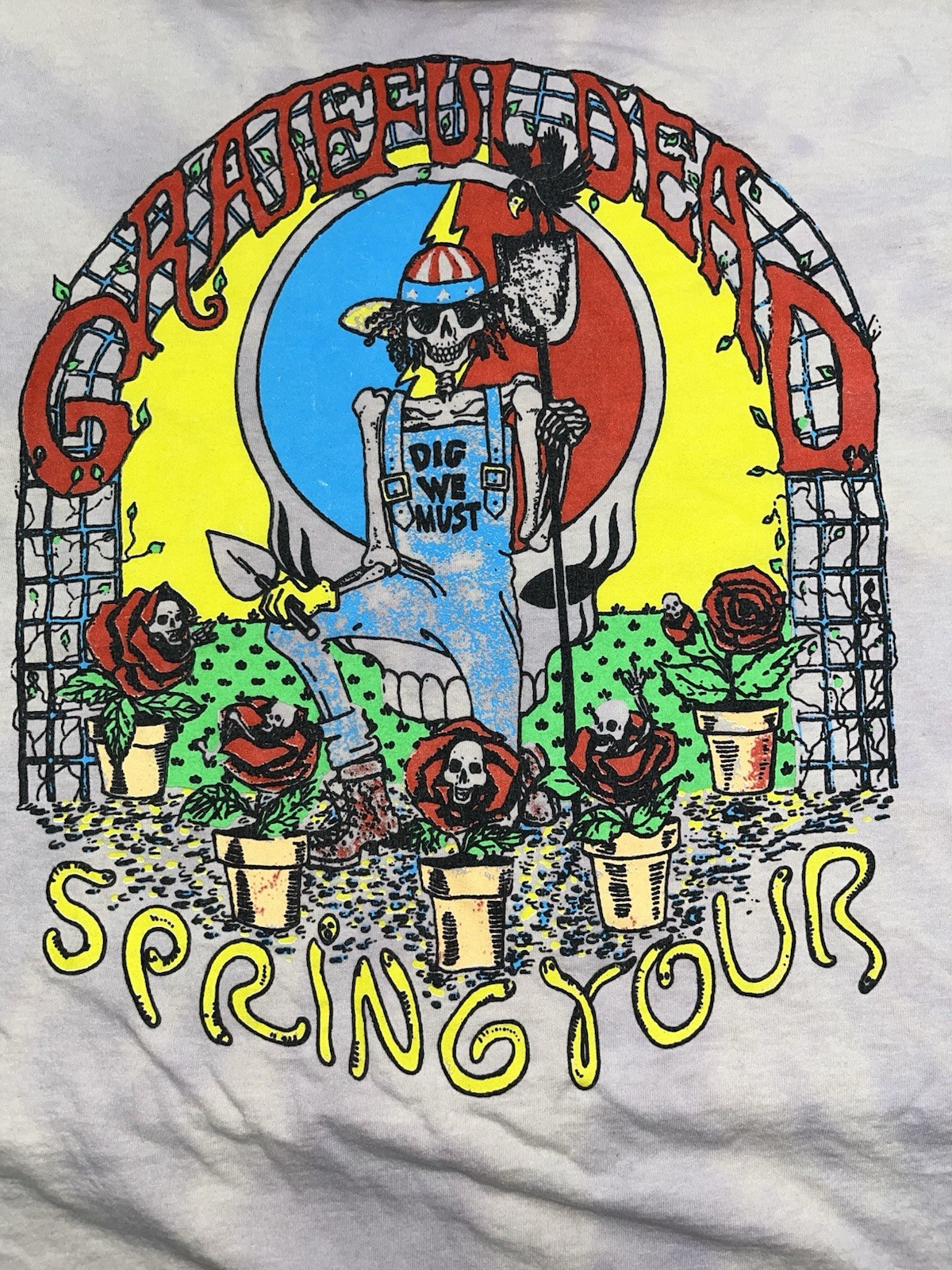 Vintage Grateful Dead Fruit of the Loom T-Shirt Spring Tour Dig We Must Large