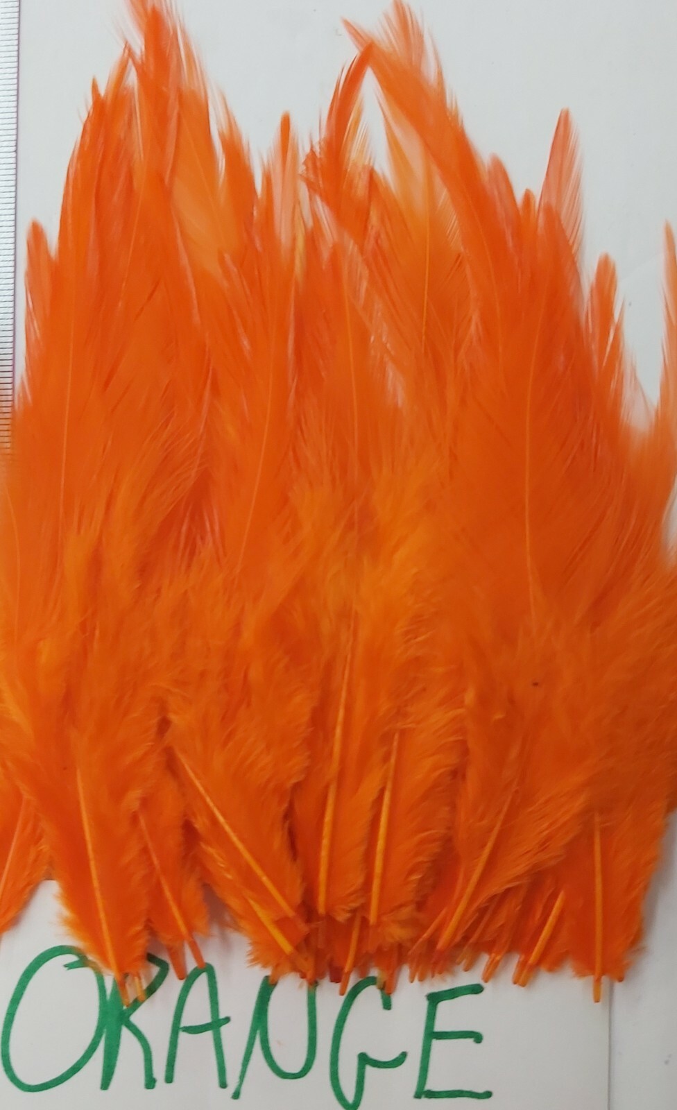 50 Feathers " SELECT SADDLES " Size 3" - 4" top Quality Color: ORANGE