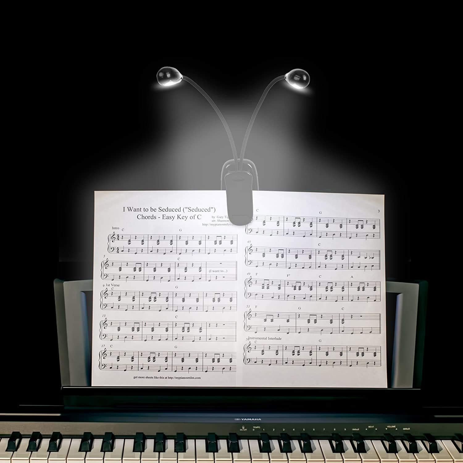 Eye-Caring Clip-On Book Lights, USB & AAA Battery Powered