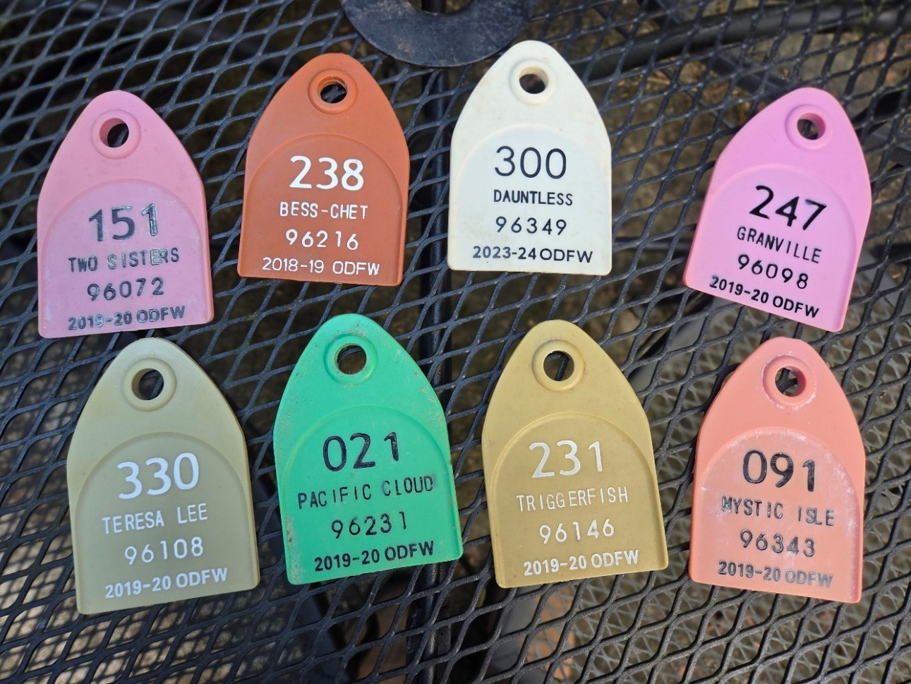 EXPIRED Oregon Commercial Crabbing License Tags - 8 Tags w/ Boat Names - L