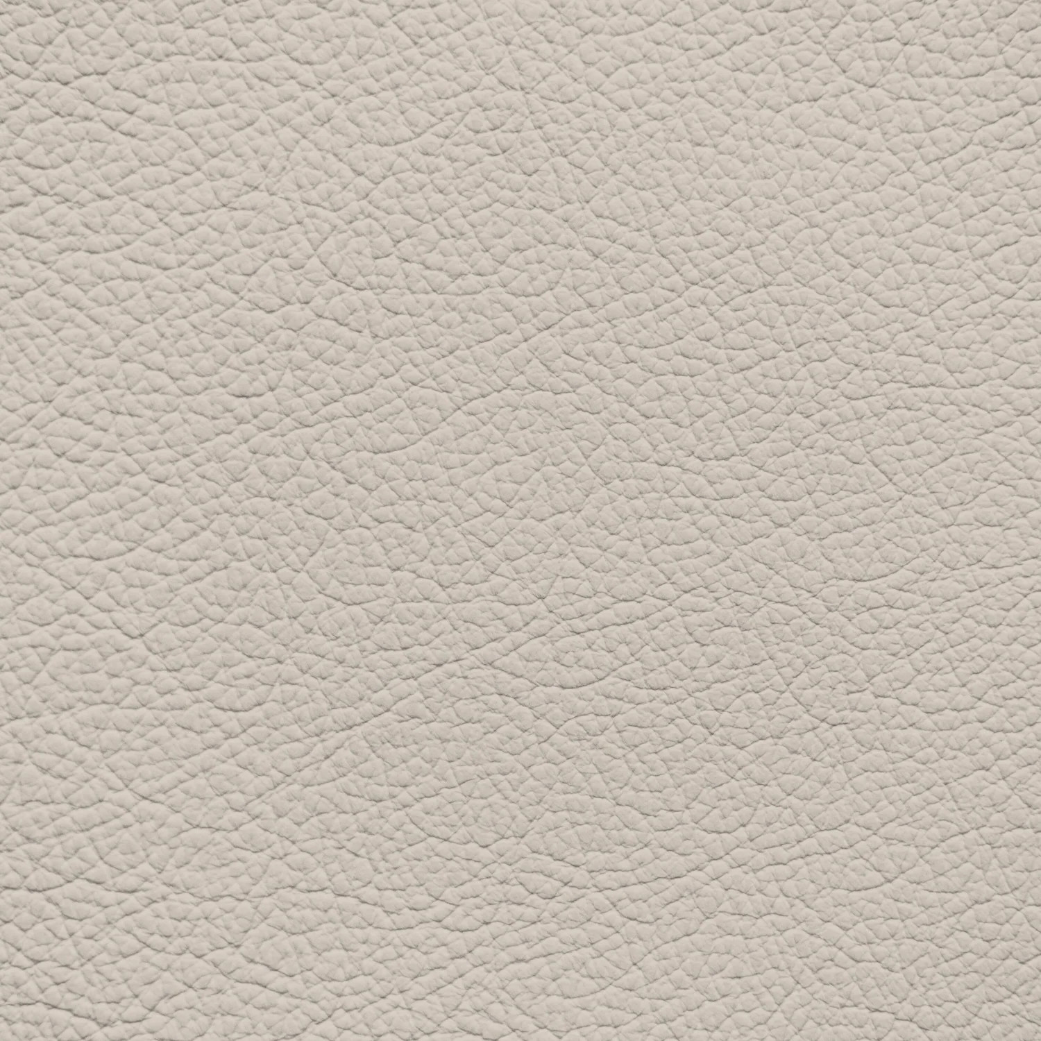 BMW Greige Leather Dye