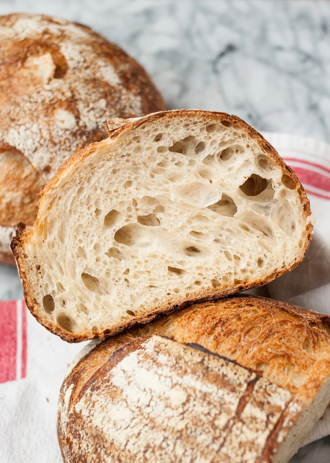 Sourdough Starter Dehydrated Sour 100+ Yrs Old San Francisco 15 Gram Bag