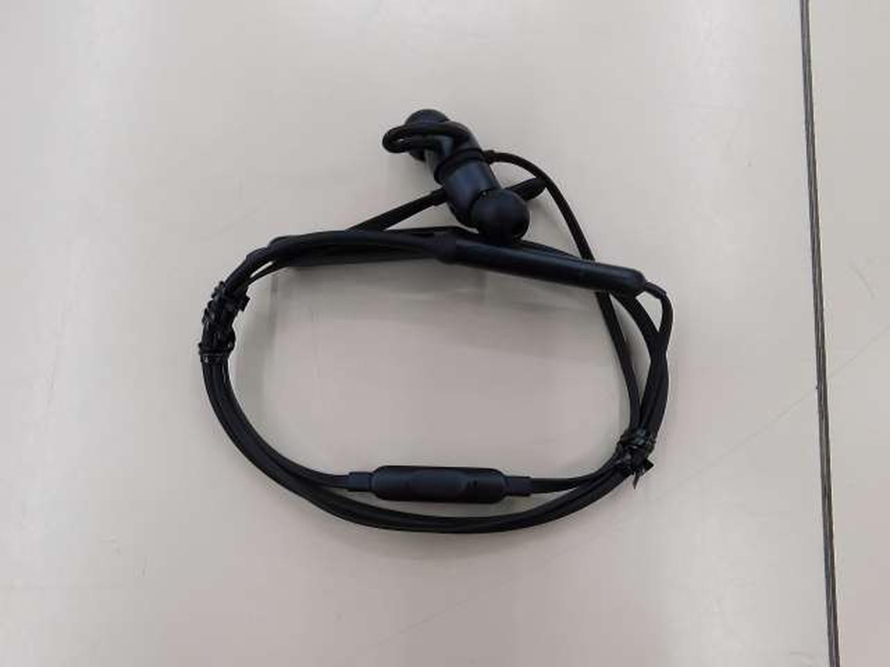 Beats Mlye2Pa/A Earphones