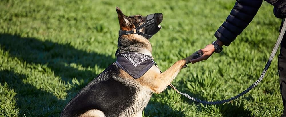 Dog Muzzle for Lar Dogs - Soft Breathable Muzzle for Lar Sized Dog
