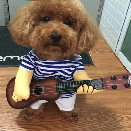 Funny Guitar Pet Dog Clothes Dress Up Party Cat Dog Coat Guitarist Dressing