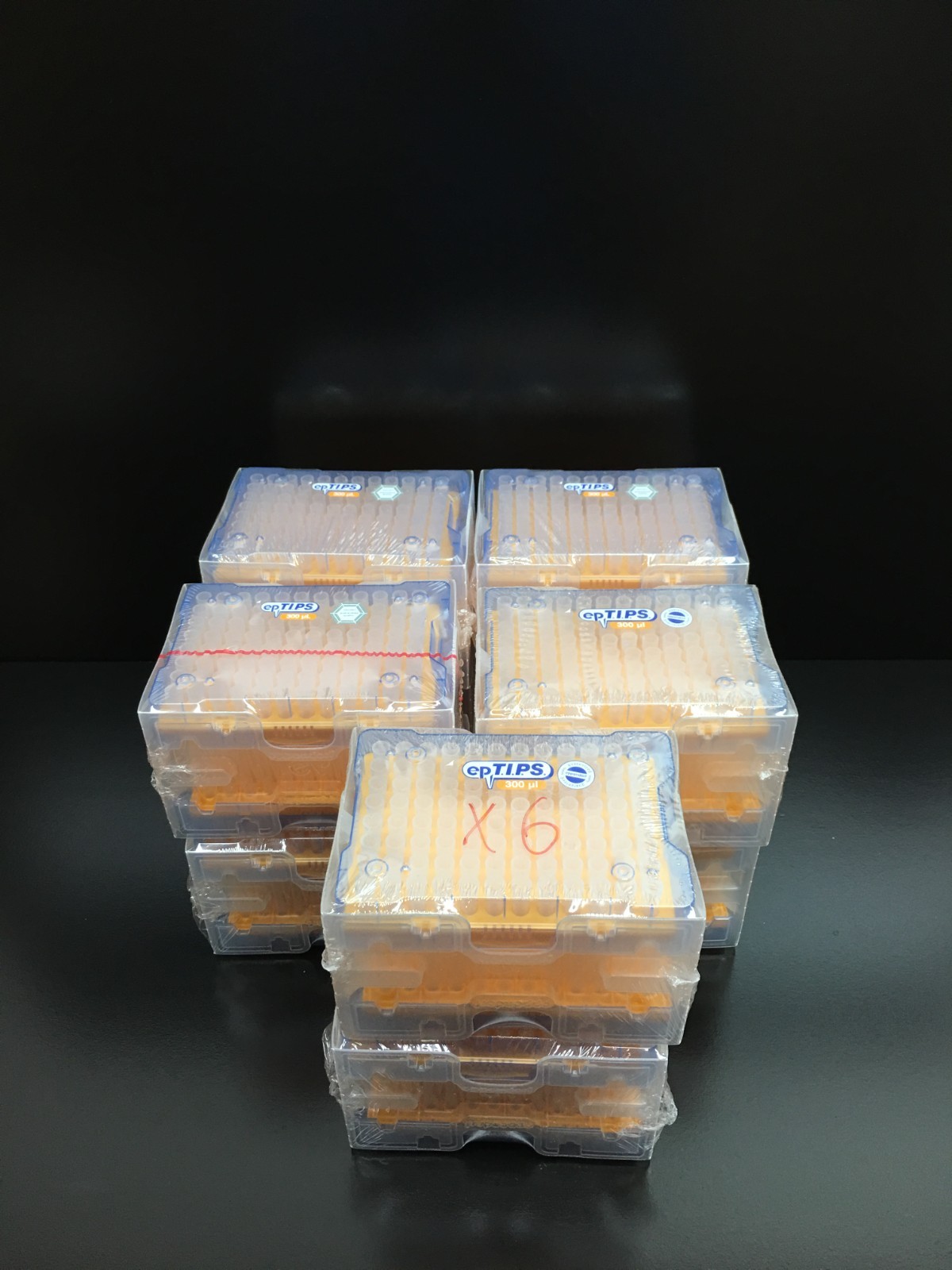 Eppendorf 300uL epTIPS Pipette Tips Lot 6 Racks