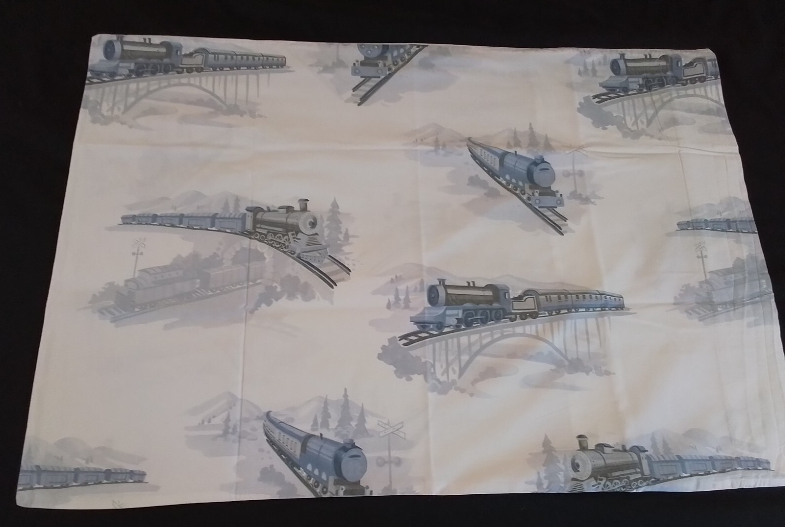 Pottery Barn Kids Trains Standard Pillowcase Blue White Transportation Rail Road