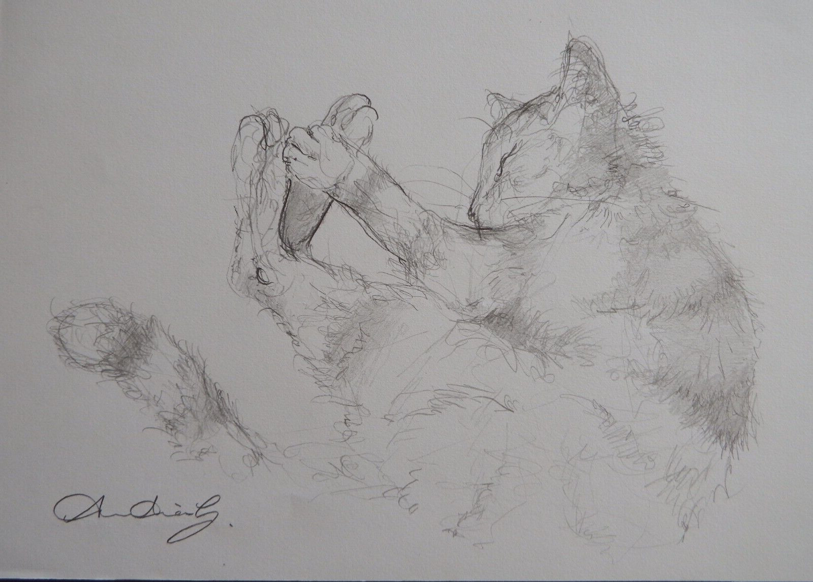 Pencil drawing cat curled sleeping