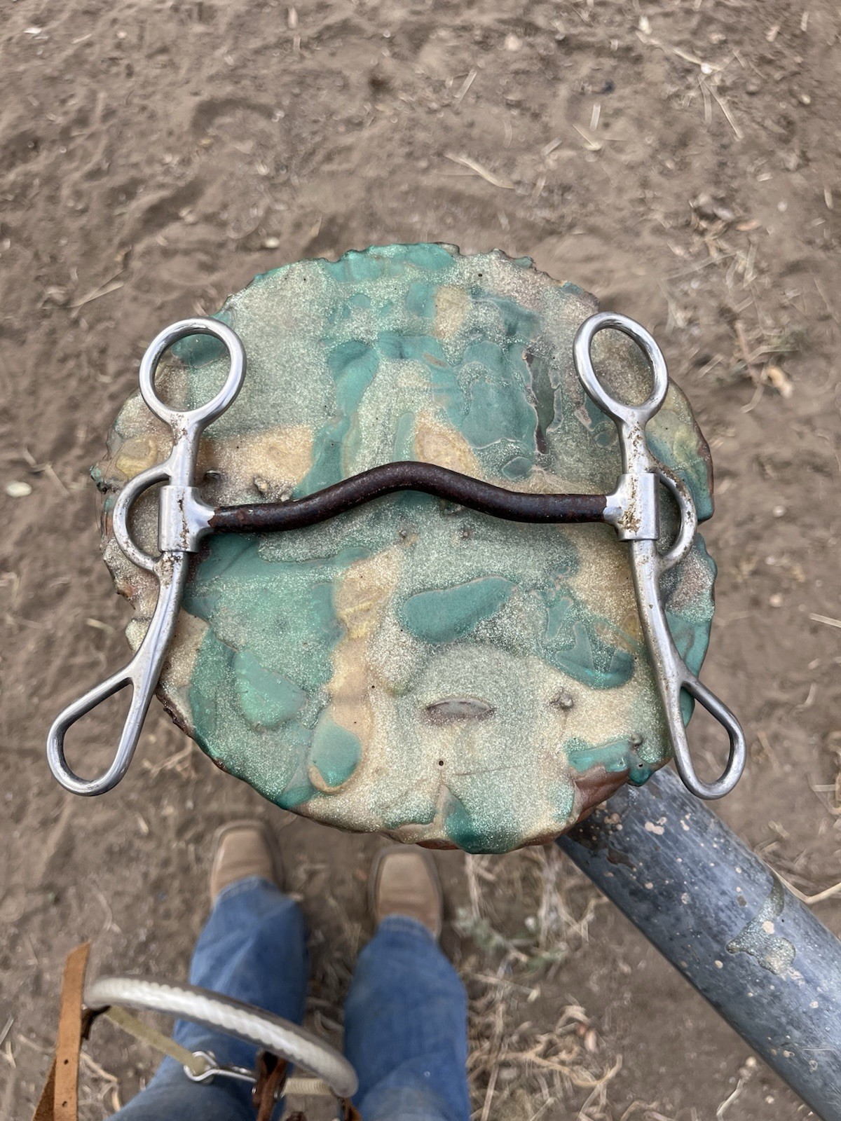 Metal Reining Bit With Slight Curve