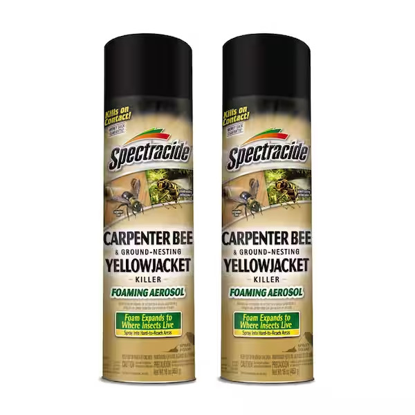 Carpenter Bee and Yellow Jacket Insect Killer 16oz Foaming Aerosol (2 Pack)