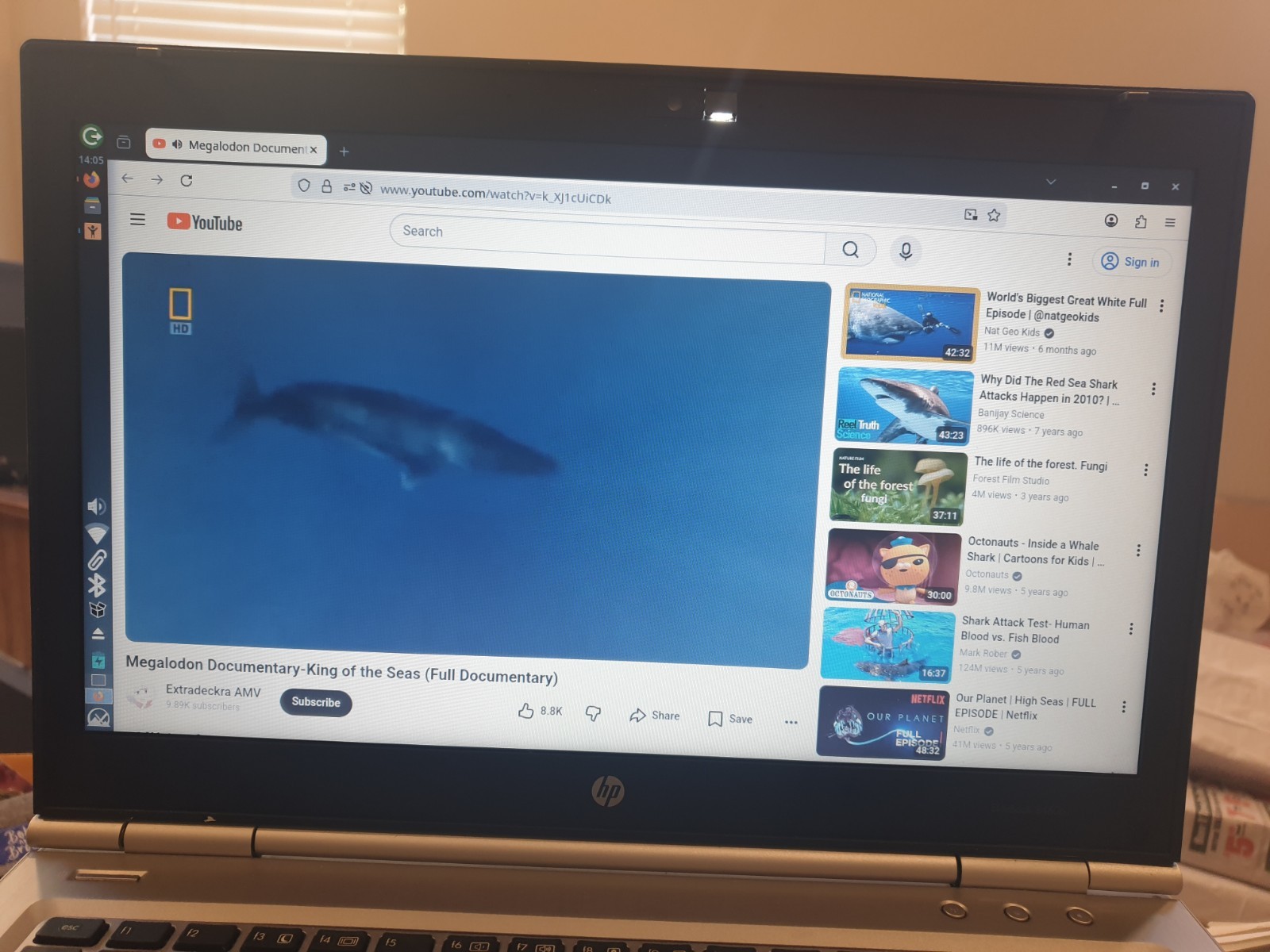 Linux MX V25.2, Xfce, 64-bit, Bootable Live and Install USB Flash Drive