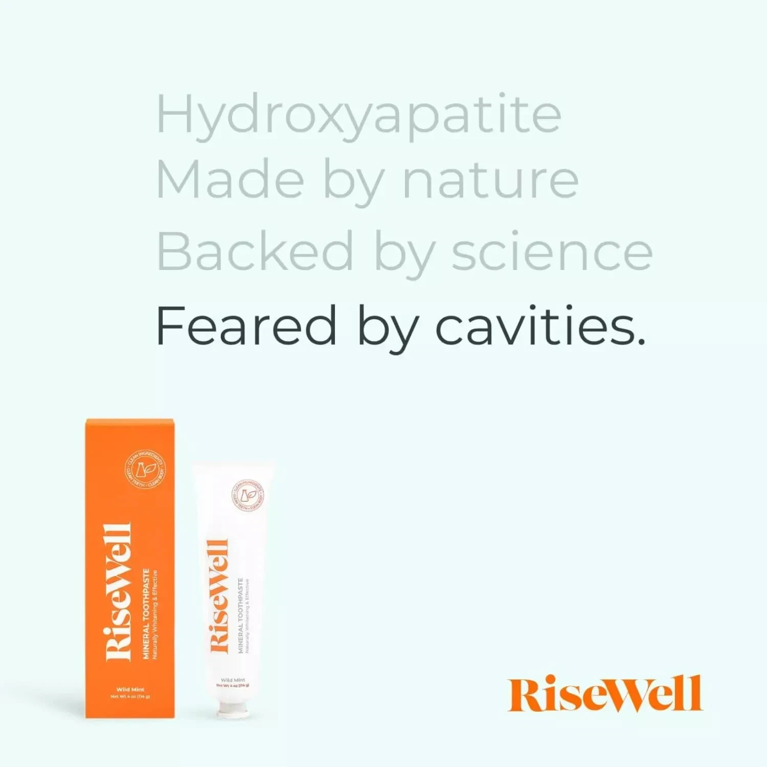 RiseWell Mineral ToothPaste - Natural Hydroxyapatite Toothpaste - Wild Mint 4 Oz