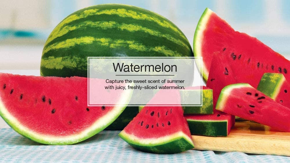 Little Trees 60320 Watermelon Hanging Air Freshener for Car & Home 24 Pack!