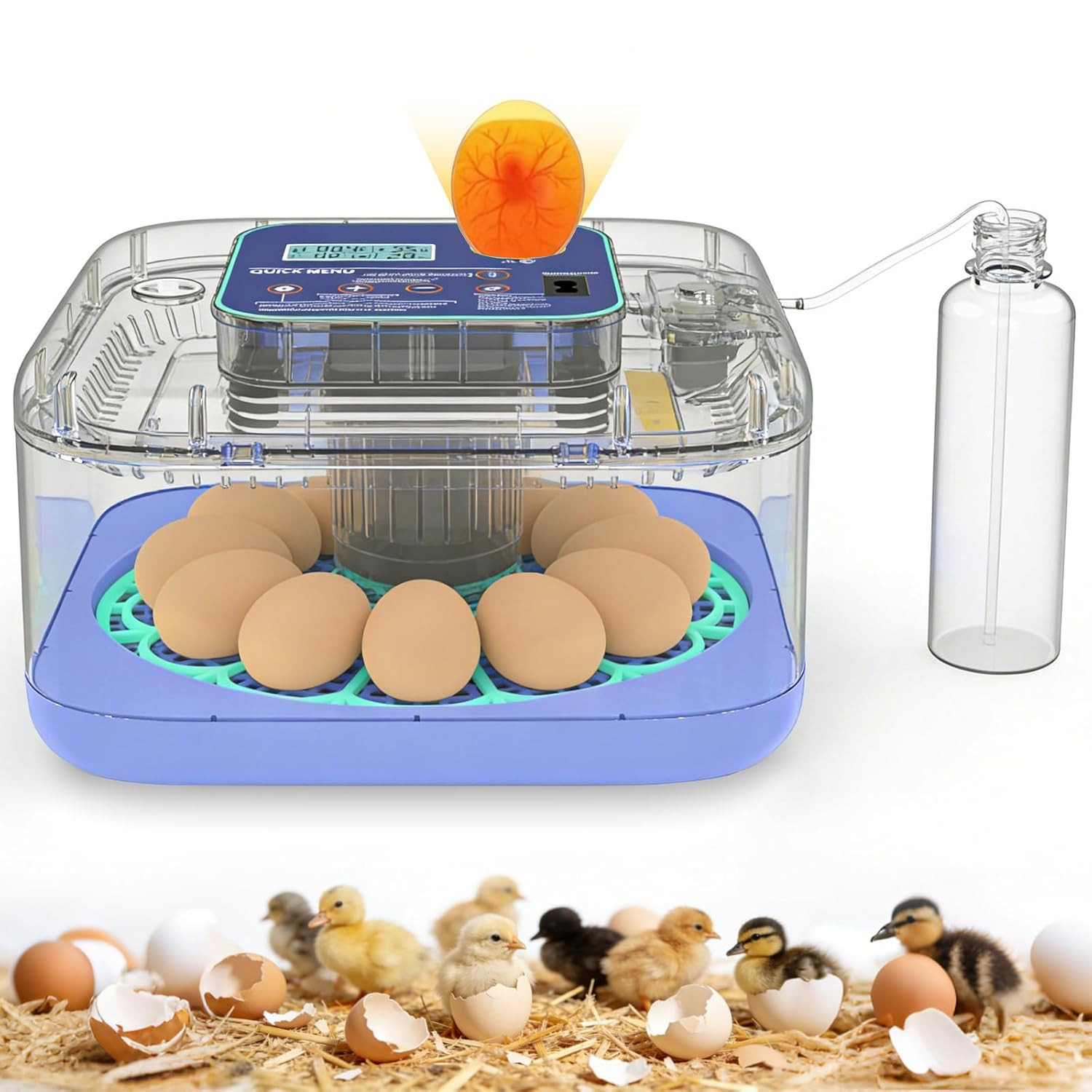 Incubators for Hatching Eggs, 12-24 Egg Digital Incubator with Smart Temperature