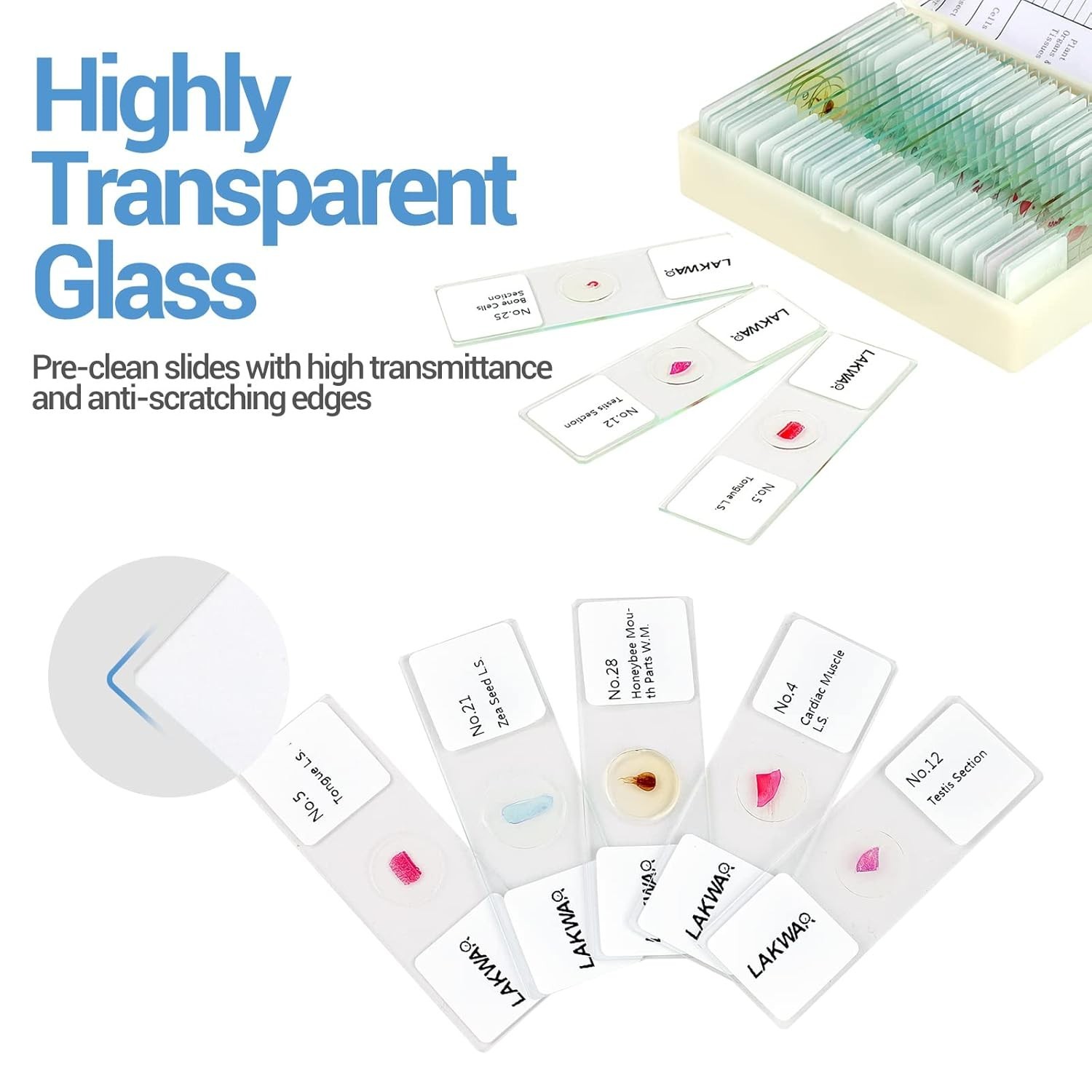 Educational Microscope Slides Kit with 30 Prepared Specimens for Beginners