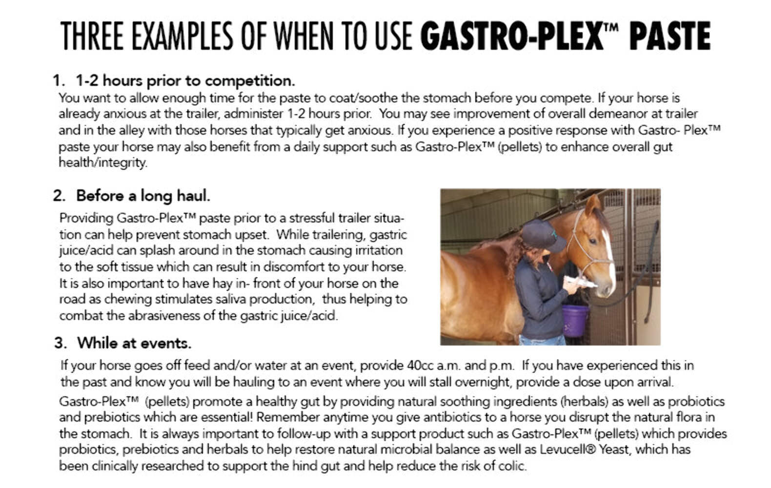MVP - Gastro-Plex (Paste)