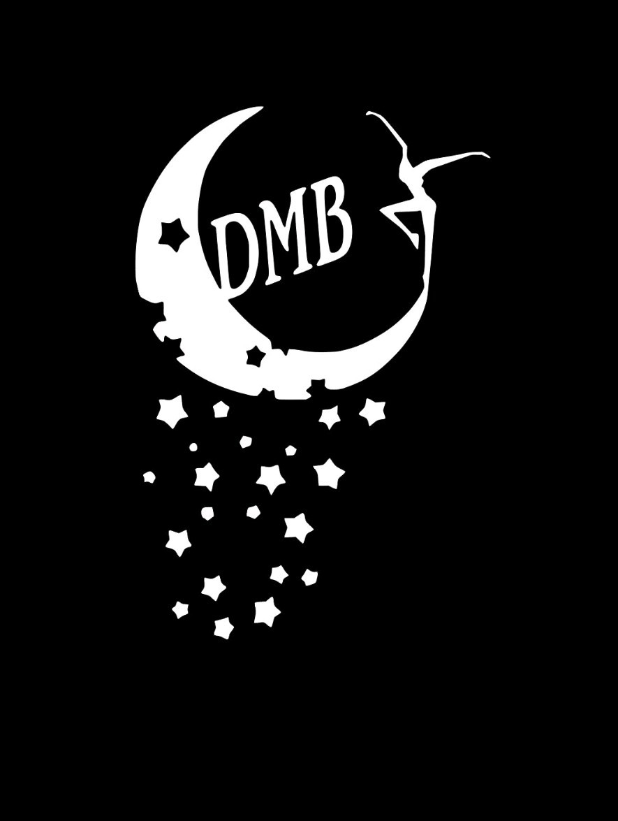 Custom DMB Equality Vinyl Decal Car Window Laptop Tumbler 4x6 Inch!