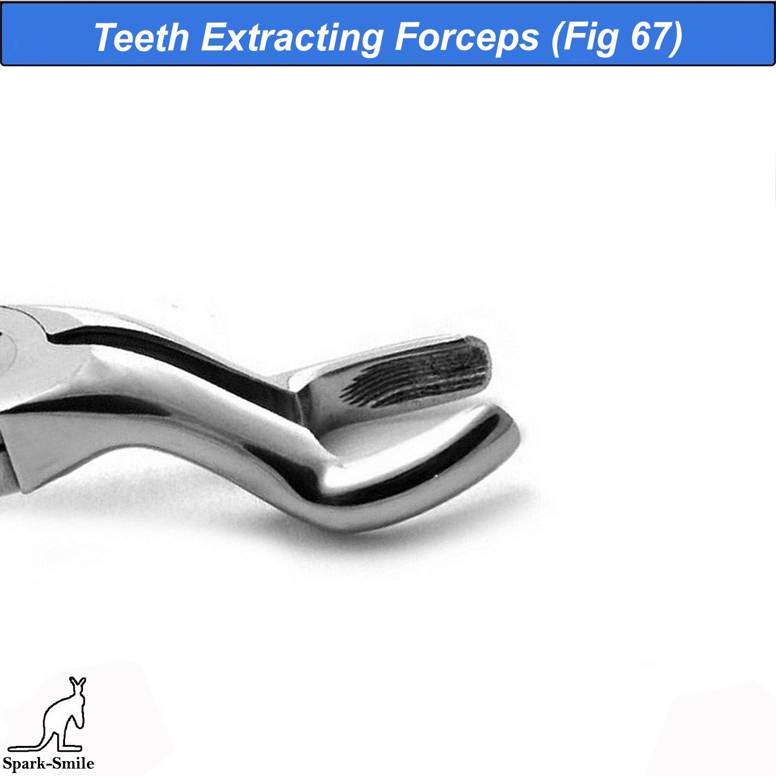 Dentistry Tooth Extraction Forceps Fig. 67 A Surgical Instruments Dental Forceps