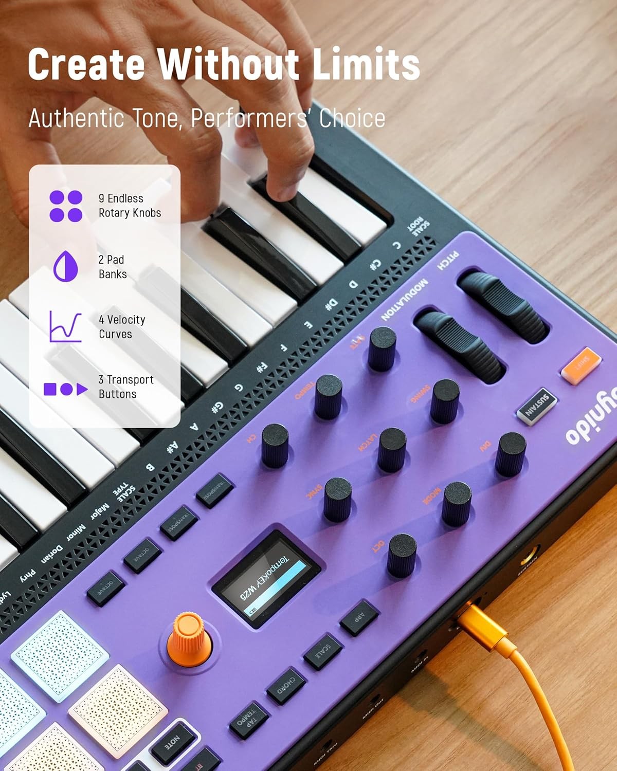 US Synido USB C Rechargeable MIDI Controller Keyboard 25 Keys TempoKEY W25