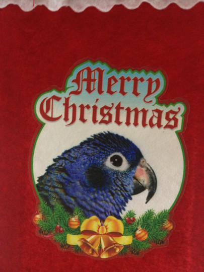 SALE!  Blue Headed Pionus Parrot Exotic Bird Holiday Christmas Stockings