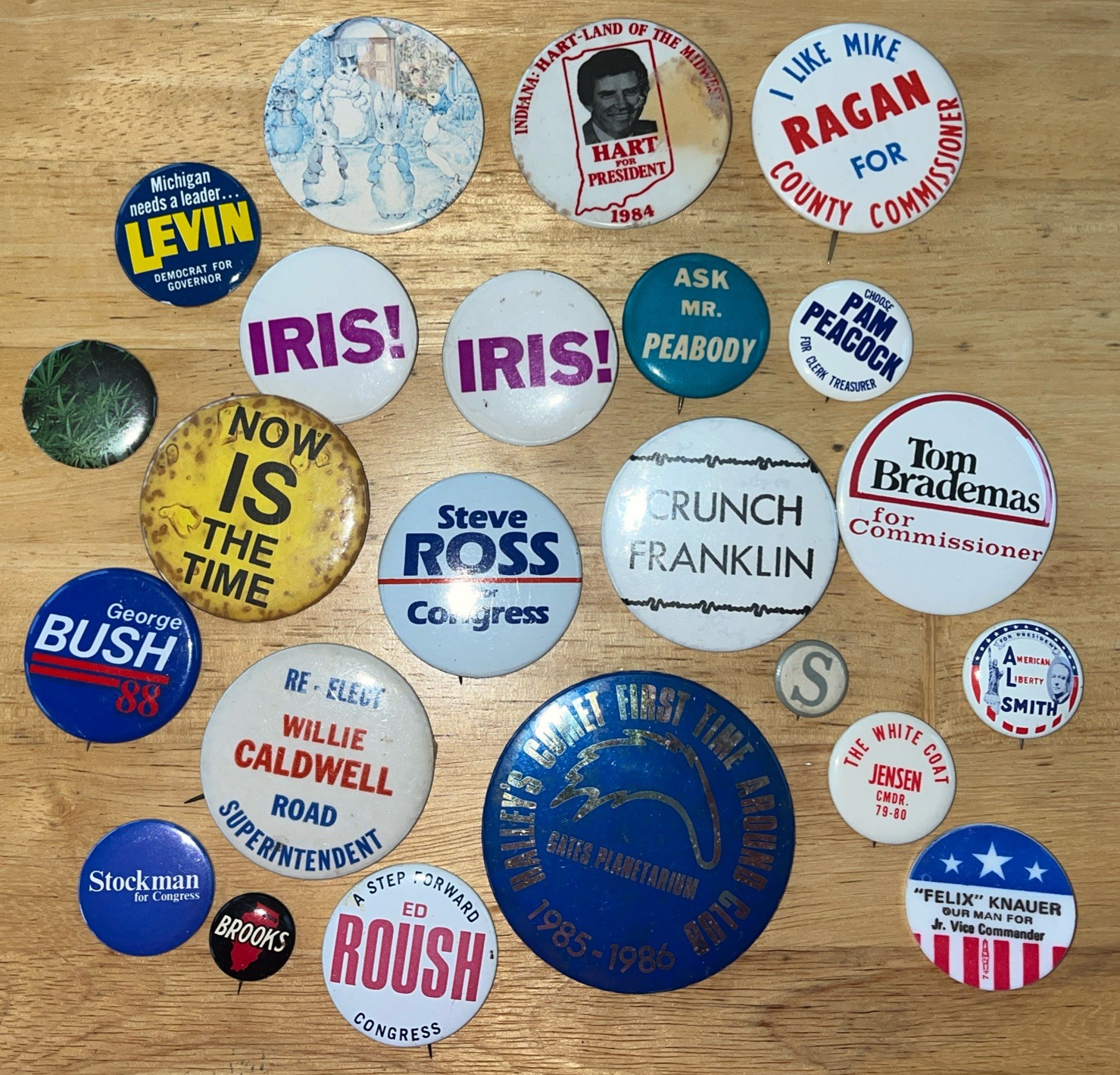 Pinbacks Lot Of 22 Variety Topics Political Random