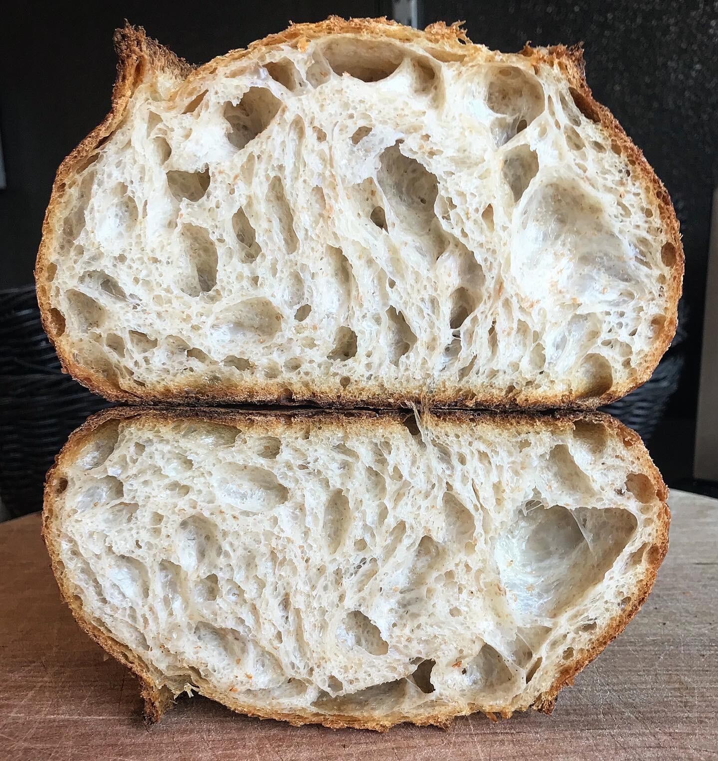 Dehydrated SOURDOUGH STARTER Tasty 100+ Yrs Old ALASKAN - 15 Gram Bag
