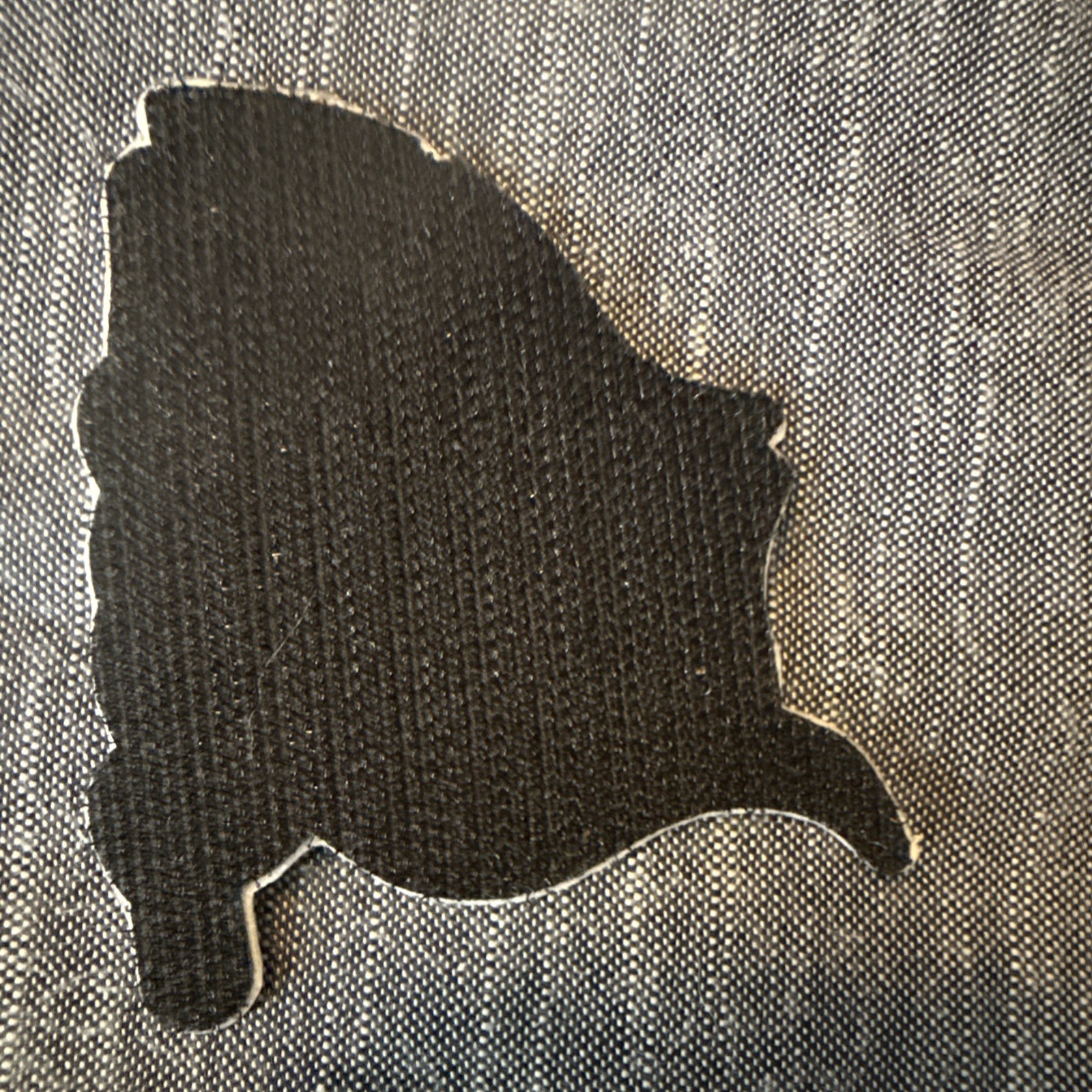 Team Rubicon Region 1 Patch