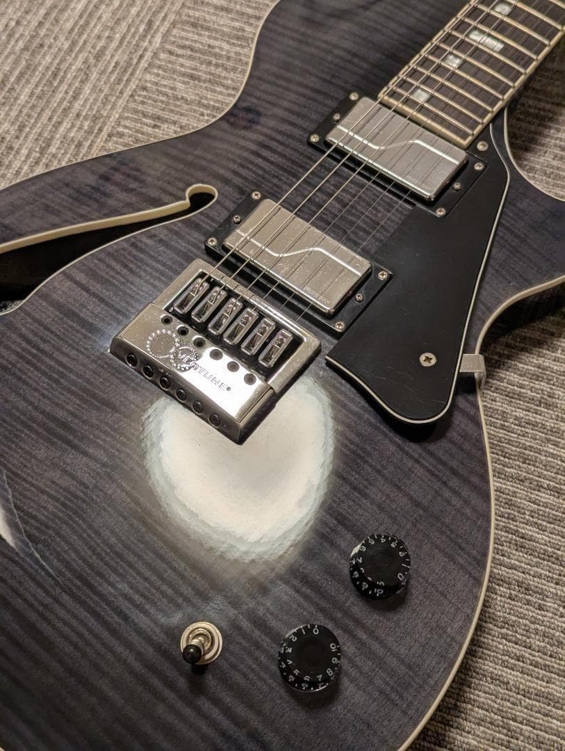 Esp Ltd Bw-1 Evertune See Thru Black