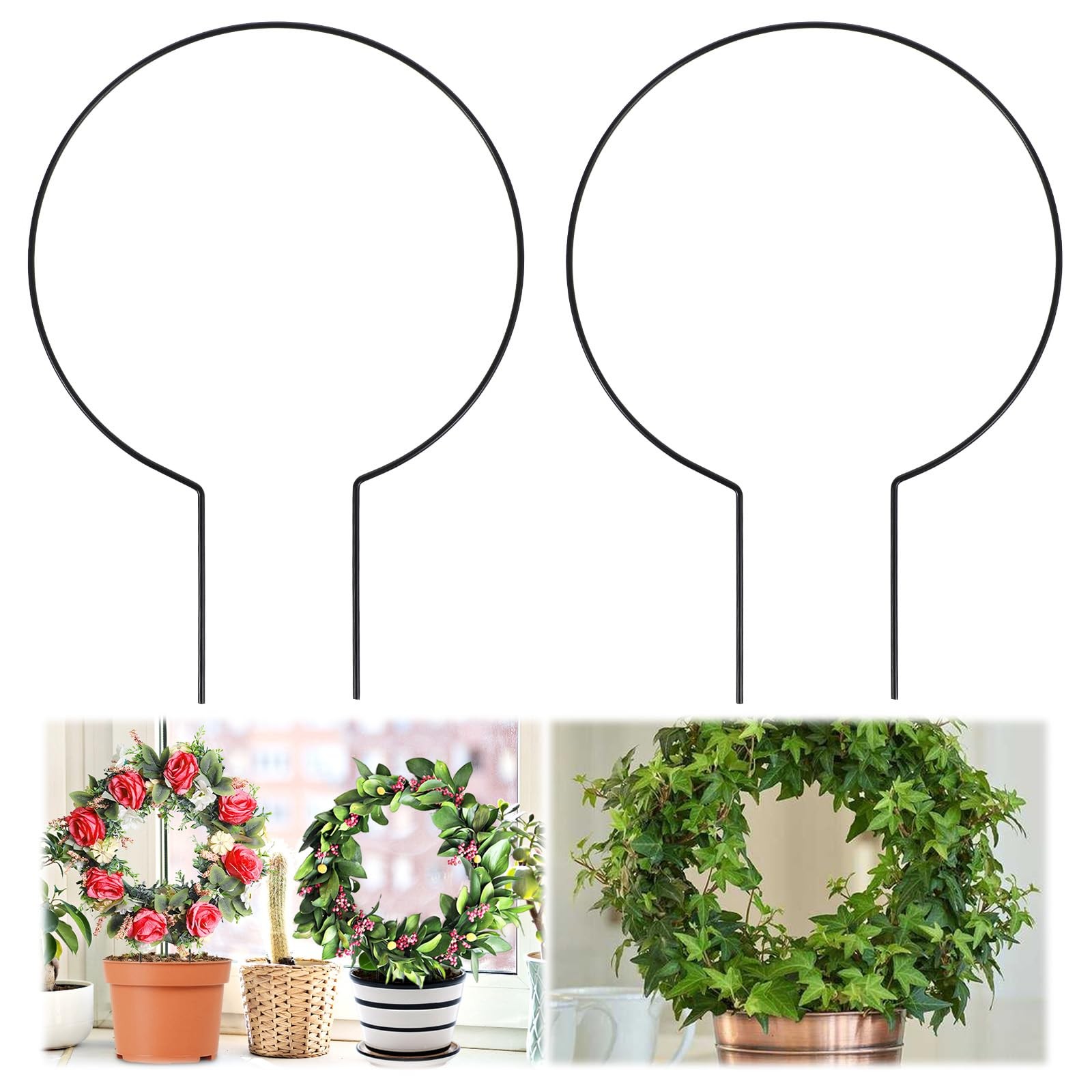 2 Pack Round Plant Trellis for Indoor Potted Plants, Acrylic Regular, Black